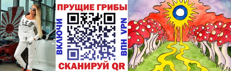 Галлюциногенные грибы Cubensis  наркошоп  Верея 